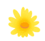 耳蜗宝宝