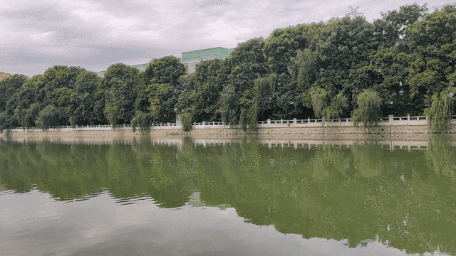 珠实又来一个盘，地铁口+户型好！珠实嘉悦湾会破5万/㎡吗？