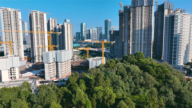 番禺越秀和樾府*后一栋，270㎡大平层不足200套！