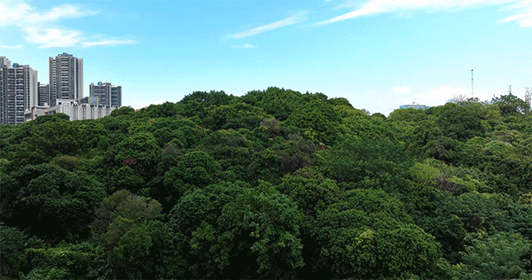 黄埔合生*城总价280万买三房！