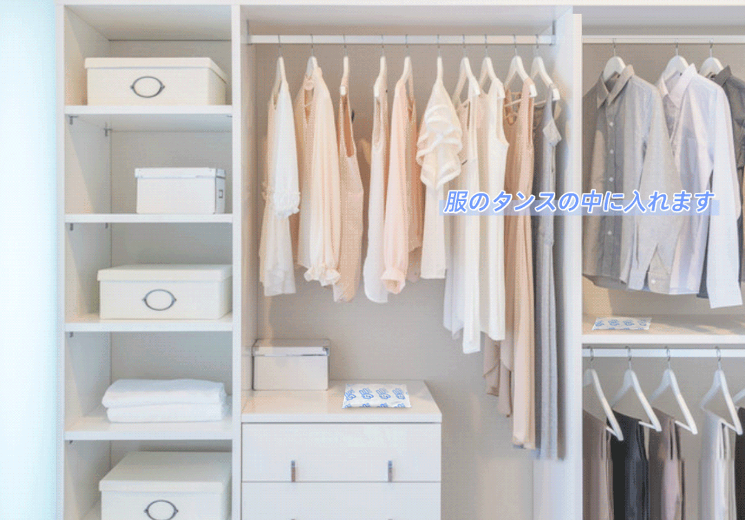 螨虫肉眼能看到吗_能肉眼螨虫看到的东西_能肉眼螨虫看到吗