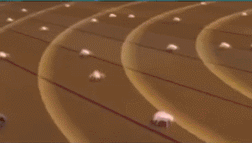 能肉眼螨虫看到的东西_螨虫肉眼能看到吗_能肉眼螨虫看到吗