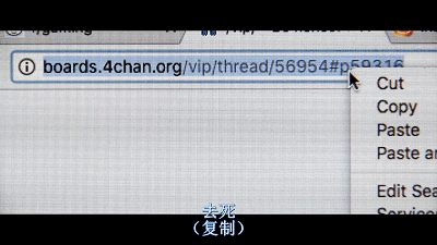 由艳照门引起的厮杀，这个世界还在上演…（组图） - 27