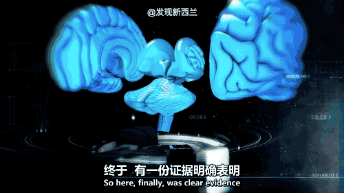 游戏正在毁掉中国的未来？BBC纪录片又来颠覆三观了（组图） - 24
