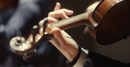 攻略来了！到达沈阳后这样走！