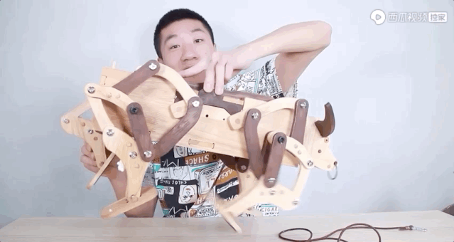 �������Ϲ���Ҳ�����𣿡�