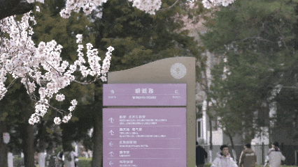 7.gif