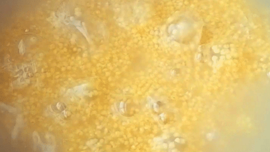 �������͸ó������ʳ��ƽ𡱣���θ���̲�������һ������ȫ�Ҷ���