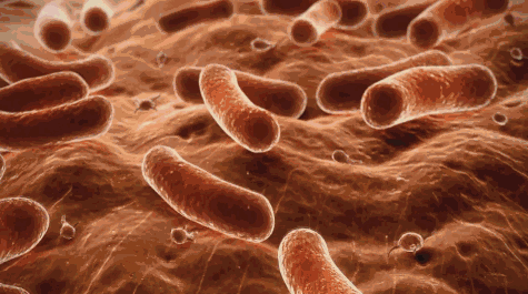 法国女人的"迷情水"，下面清爽香喷喷，老公把持不住！