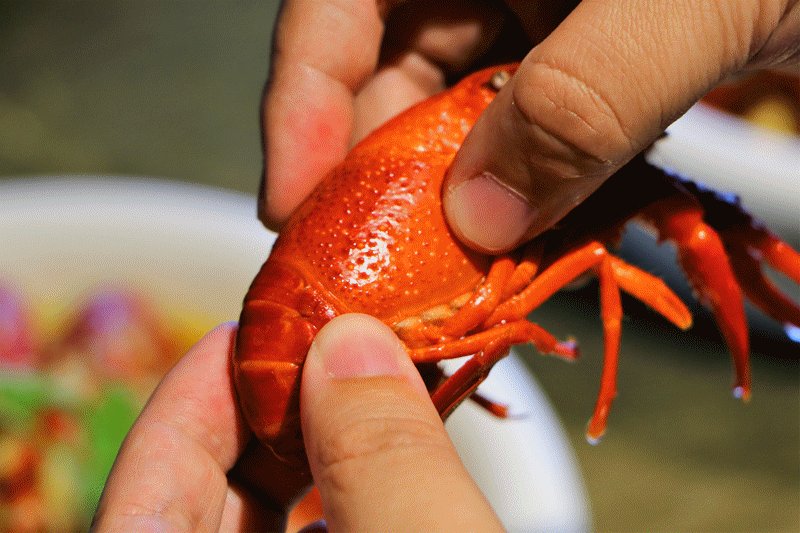 金山最高颜值小龙虾降临,冰镇月光宝盒!还有独创小龙虾火锅