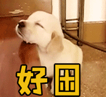 220_200gif 动态图 动图