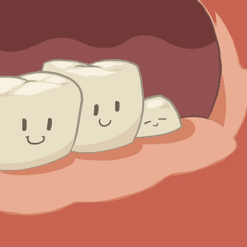 智齿的真实面目！对它仁慈就是对自己残忍！