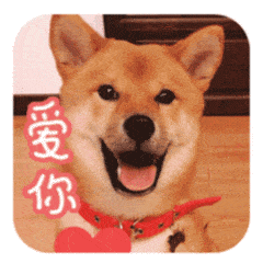 抖音上的倒退视频制作_抖音倒放视频怎么让声音倒放_抖音视频声音倒放