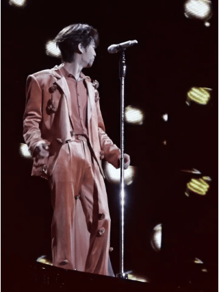 图片[3]-王赫野演唱会裤子出圈了，多条裤子无故“鼓包起球”，网友：裤子经历了什么？-小蓝短视频