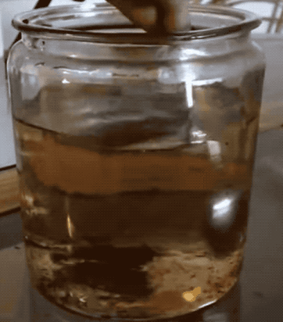 你泡茶时没发现什么不对劲吗？爱因斯坦用它发了篇论文并开创了一个学科-如意