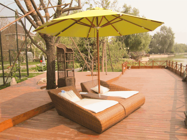 最美金秋〡不负光阴不负卿