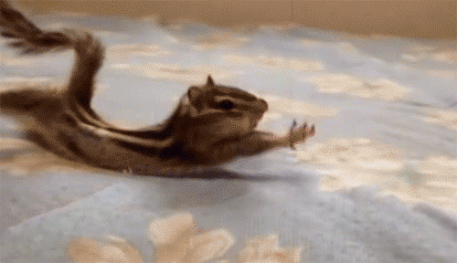 外其余内容均来自网络,我们对文中观点保持中立,对所包含内容的准确性