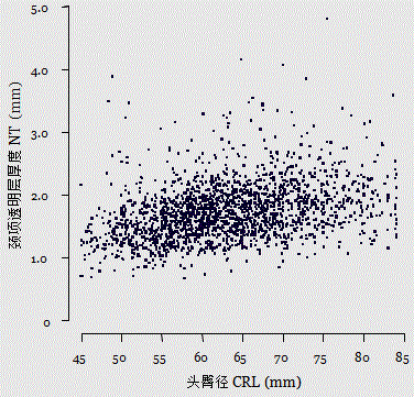 胎儿mt是什么检查什么疼吗【专题讲座】11-13周的超声检查（3）-染色体异常筛查-颈项透明层、胎儿心率_https://www.jmylbn.com_新闻资讯_第12张