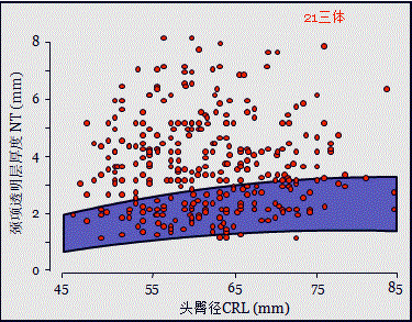 胎儿mt是什么检查什么疼吗【专题讲座】11-13周的超声检查（3）-染色体异常筛查-颈项透明层、胎儿心率_https://www.jmylbn.com_新闻资讯_第8张