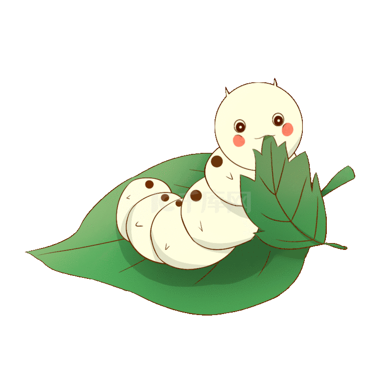 《你好,蚕宝宝》