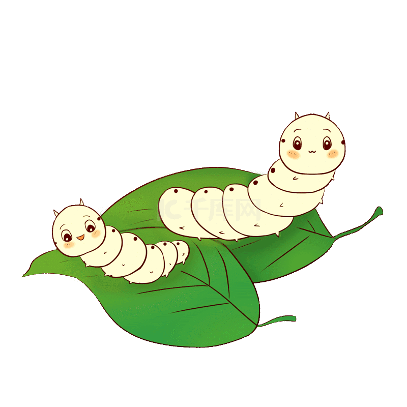 你好蚕宝宝
