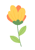 中药热奄包怎么蒸活血化瘀，消肿止痛！我院妇科推出中药热奄包~_https://www.jmylbn.com_新闻资讯_第8张