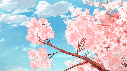 四月是你的謊言 桌布桌布 火影愛好者 微文庫