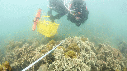 大海大海多大多宽儿歌_什么的大海_大海大海就像妈妈一样