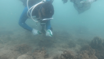 大海大海就像妈妈一样_大海大海多大多宽儿歌_什么的大海