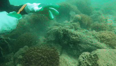 大海大海多大多宽儿歌_什么的大海_大海大海就像妈妈一样