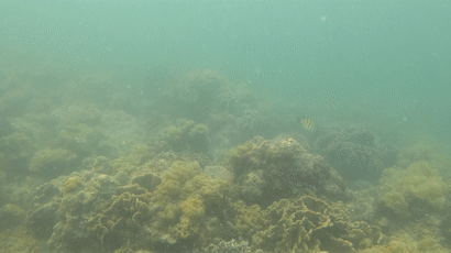 大海大海就像妈妈一样_什么的大海_大海大海多大多宽儿歌