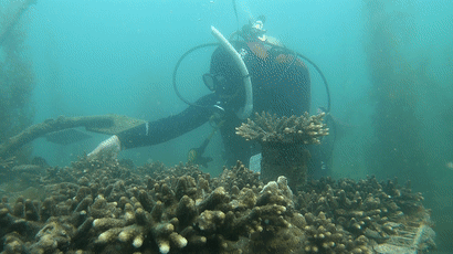 大海大海多大多宽儿歌_大海大海就像妈妈一样_什么的大海