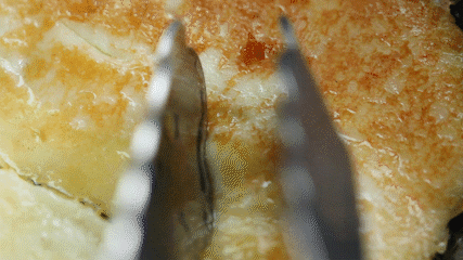 ���Ա����Ե����ɹţ��ں�һ����������㱩����