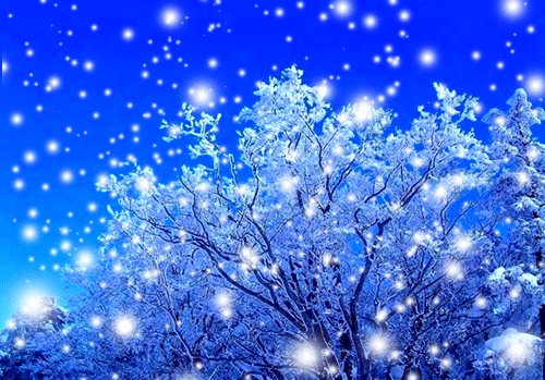 【三江文学】徐杰 ‖ 这样的冬天我们一起走过