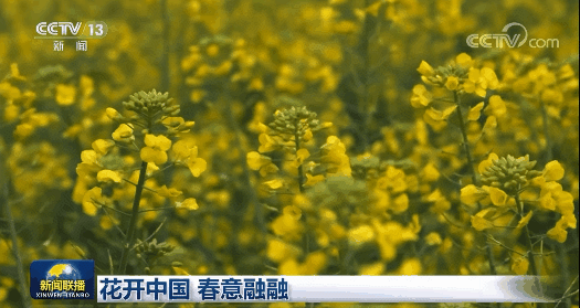 3月最佳旅行地 | 7元嗦粉、5元坐船、0元看花海，中国有的是好看又好吃的地方！