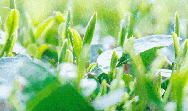 中原被忽略的宝藏小城，连续8年上榜“中国宜居城市”，太适合反向旅行！