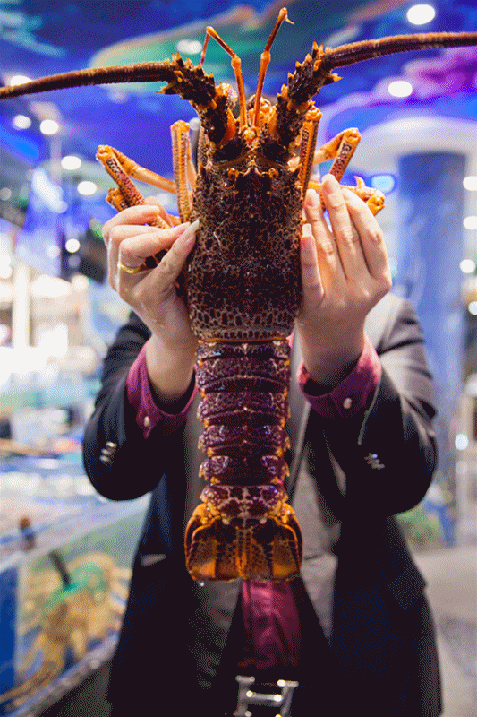 终于来渠县!帝王蟹,澳州龙虾霸气来袭