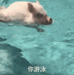 %name 悉尼华人首发声：澳洲人挖下的大坑，就让我们去填平吧