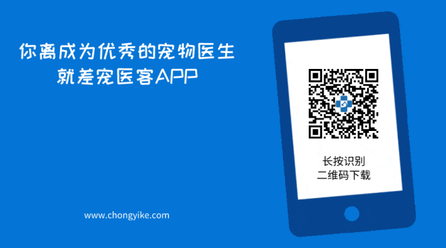 喉镜怎么清洗兽医助理必会的麻醉指南：气管插管的详细操作步骤、吸氧益处与清洗方法_https://www.jmylbn.com_新闻资讯_第12张