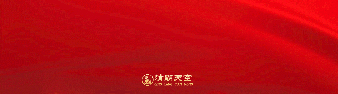 辅警从高桥跳下救人