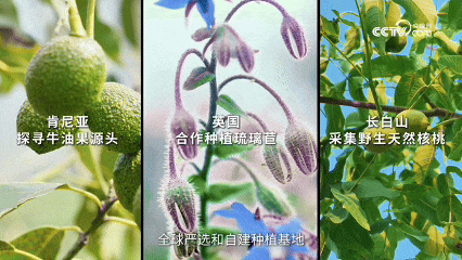 配图2.gif