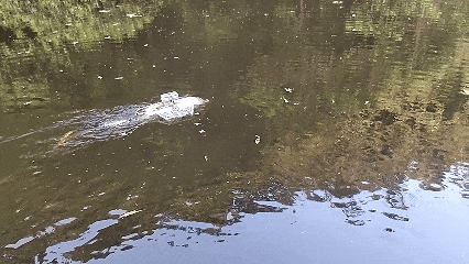 ƷƼ | ʩ޵1ŶżˣӻӦԣ