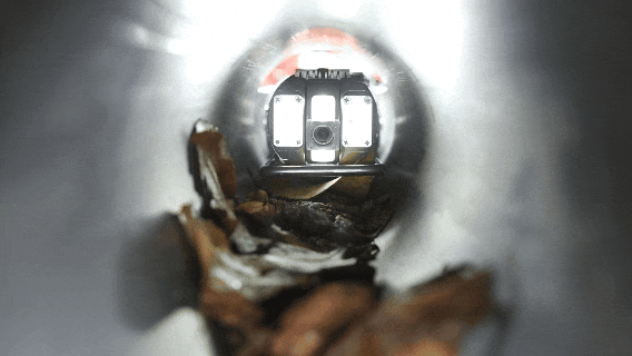 施罗德新品获深圳卫视专题报道