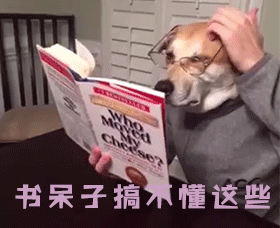 读是什么单词_读是什么意思英语_relative是什么意思?怎么读