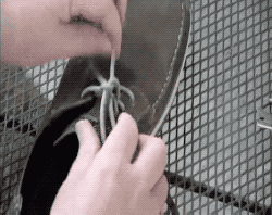 威海捷润贸易有限公司