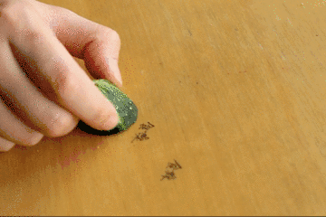 这些你一定听说过的厨房小妙招，真的有用吗？我们替你试了一遍