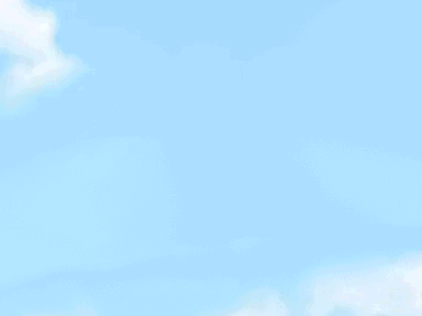 插画周历上新：一条小溪是许多可爱东西的家5