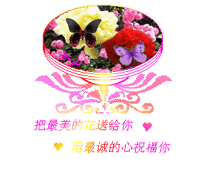 这些表情包和祝福语你肯定喜欢收藏