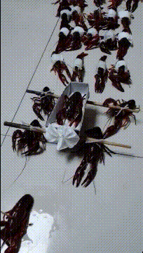 搞笑GIF:不知道将来哪个幸运的男人,会娶到这个女人-微信头条网 搞笑GIF:不知道将来哪个幸运的男人,会娶到这个女人