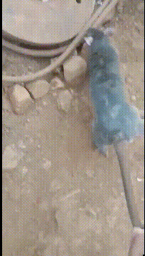 搞笑GIF:不知道将来哪个幸运的男人,会娶到这个女人-微信头条网 搞笑GIF:不知道将来哪个幸运的男人,会娶到这个女人